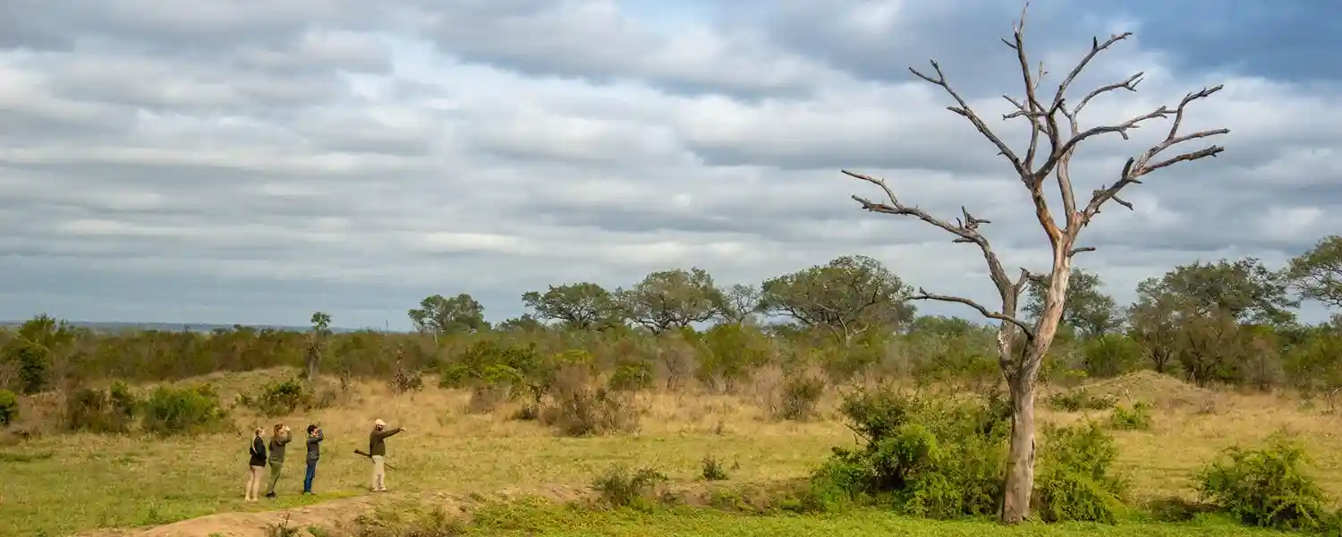 The Kruger Experience-1